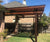Backyard Pergola with Trellis