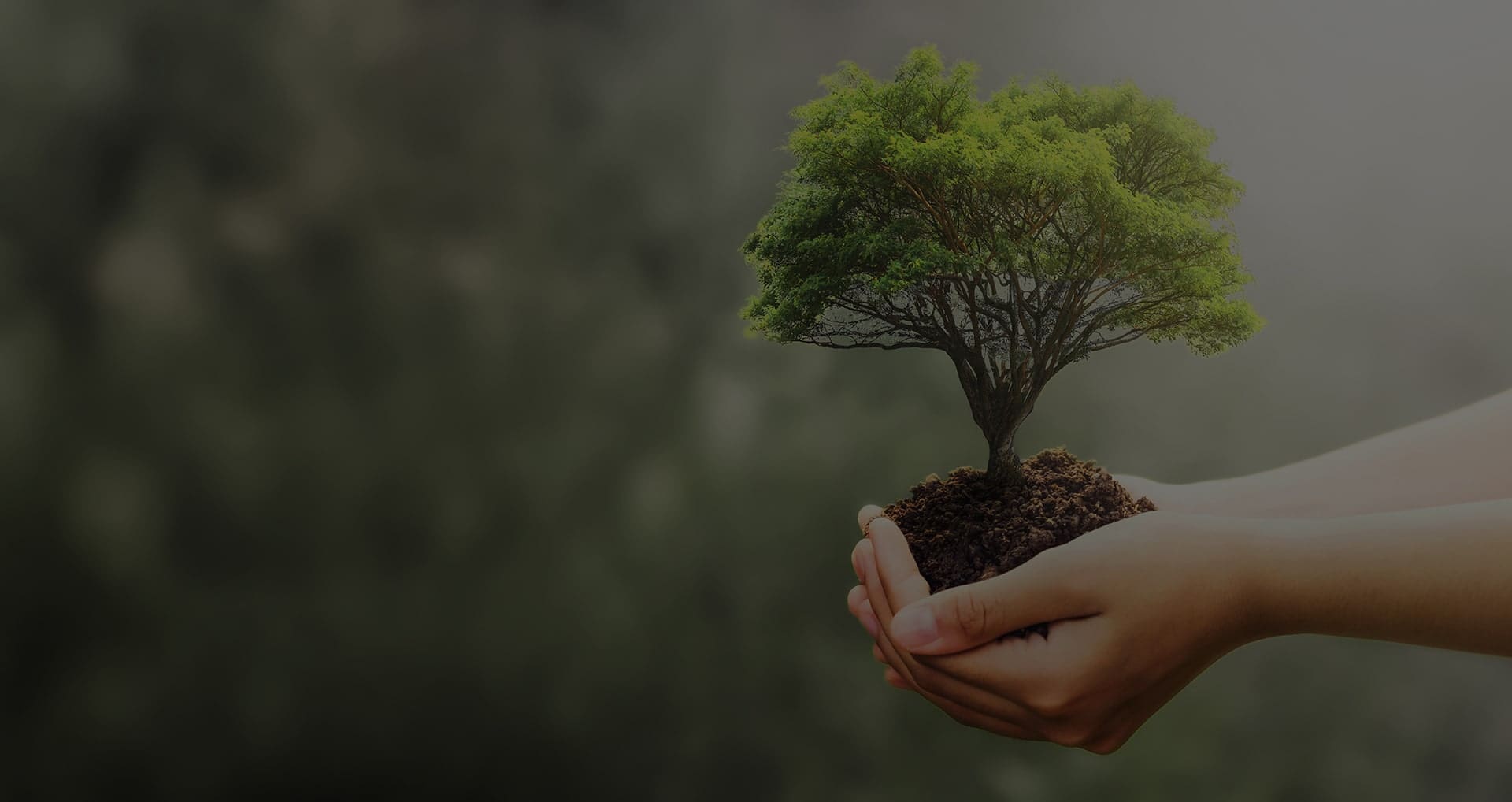 Yardistry Big Timber