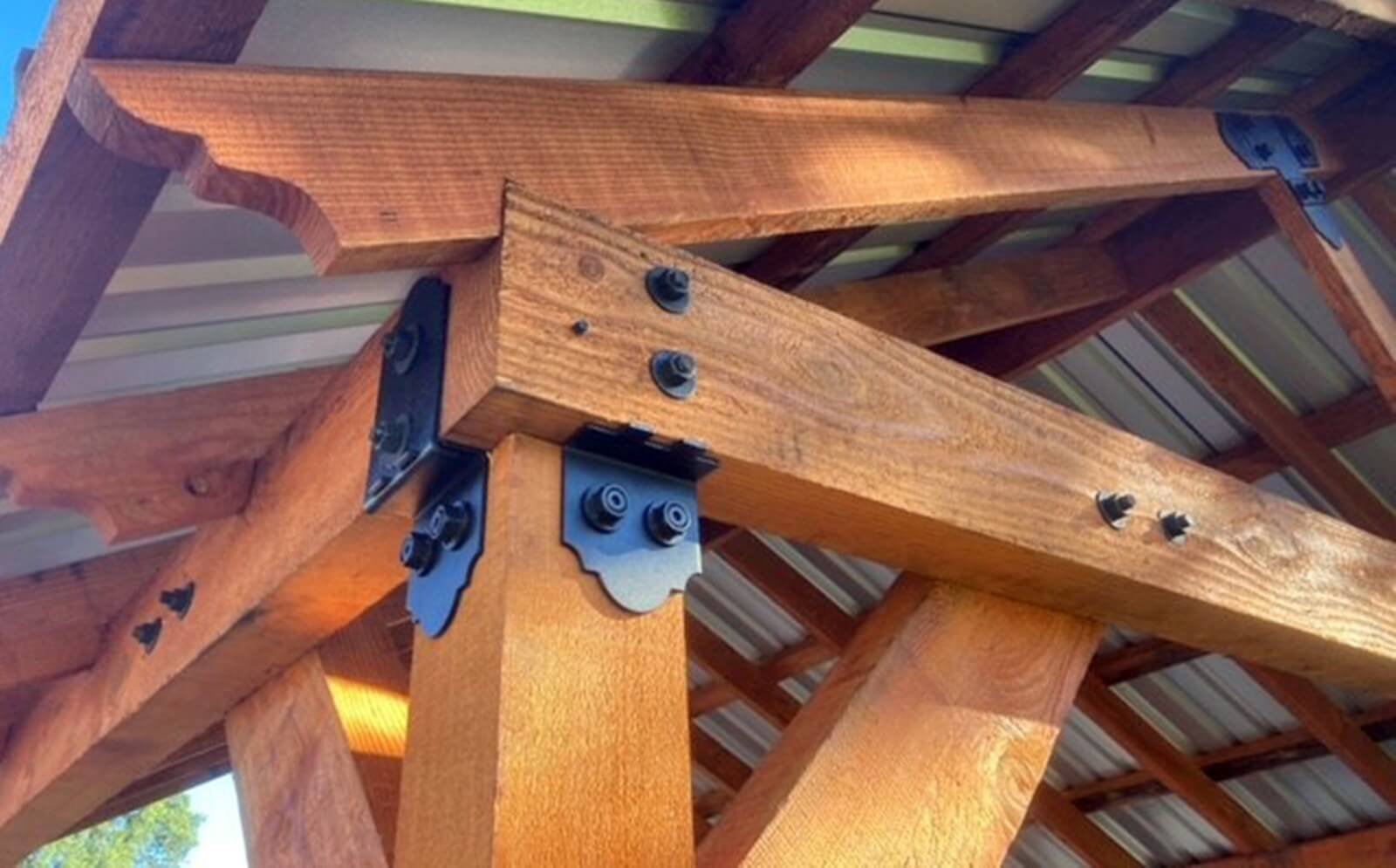 Big Timber Structures - Pavilions - Panama Examples (1)